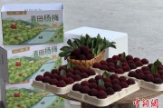 汉程黄历高速赋能产业升级：一条“杨梅路”的致富密码